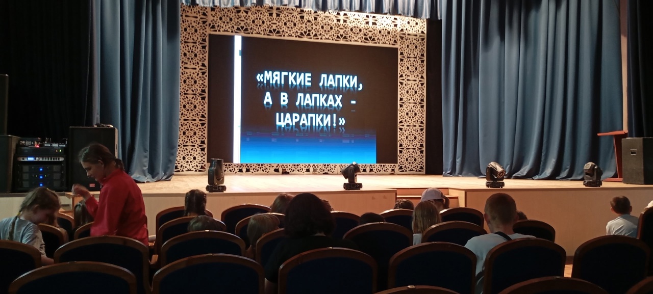 Общелагерное событие.
