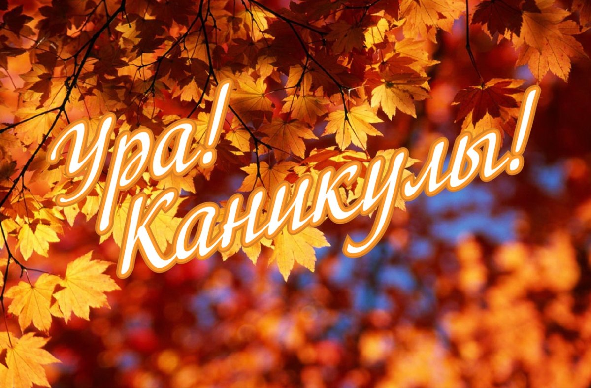 Мероприятия на осенних каникулах.