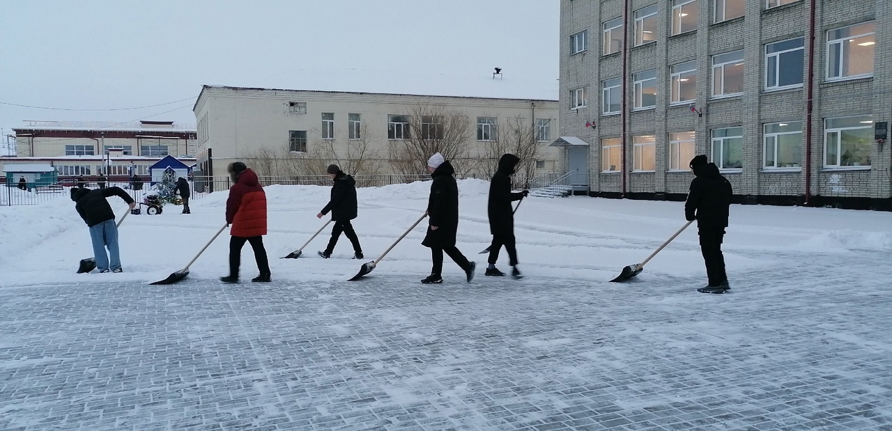 Трудовое воспитание в действии.