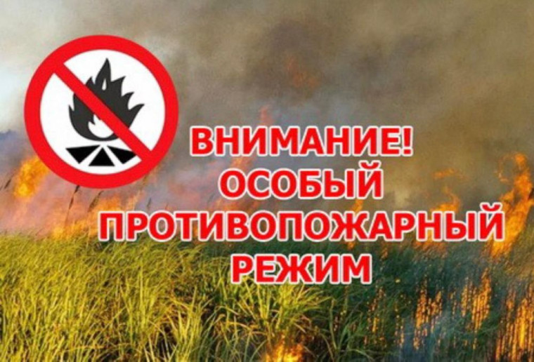 Вводится особый противопожарный режим.