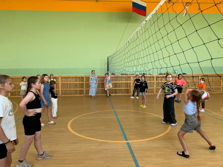 «Мой веселый, звонкий мяч».