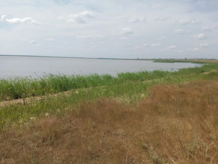 Купание запрещено!.